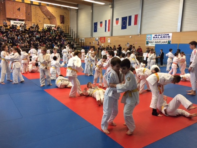 MACON_JUDO3.jpg