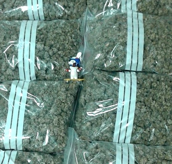 SAISIECANNABISCHALON14FEV.jpg