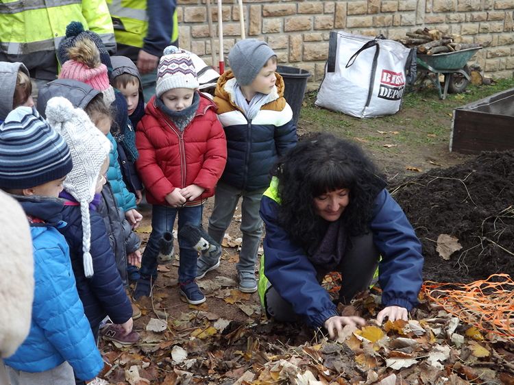 A la recherche d'une vie dans les feuilles mortes.JPG