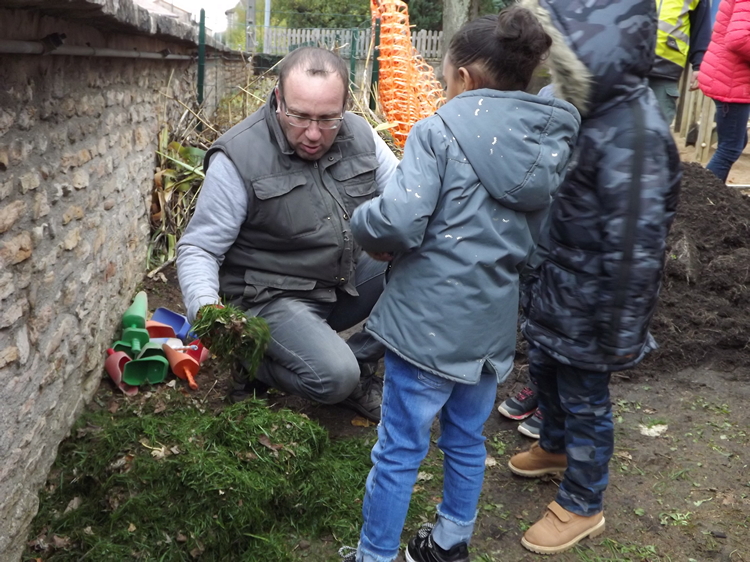 L'herbe tondue le matin servira de nourriture aux plantations.JPG
