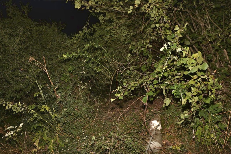 PIERRECLOS_SORTIE_DE_ROUTE4.jpg