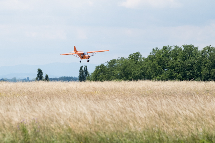 ULM D MARTIN 7.jpg