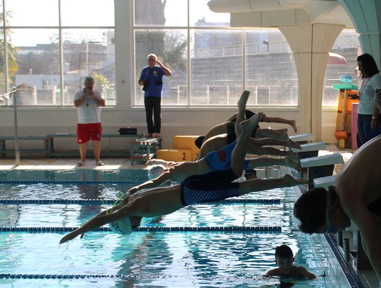concours natation départementale Mâcon (6).JPG