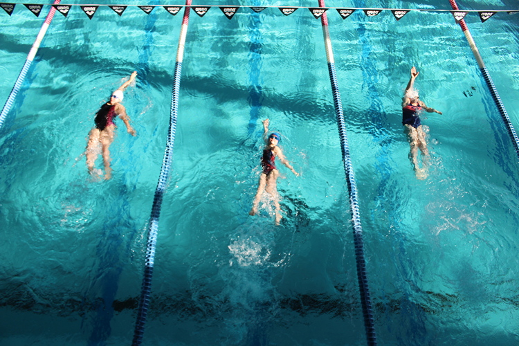 concours natation départementale Mâcon (82).JPG
