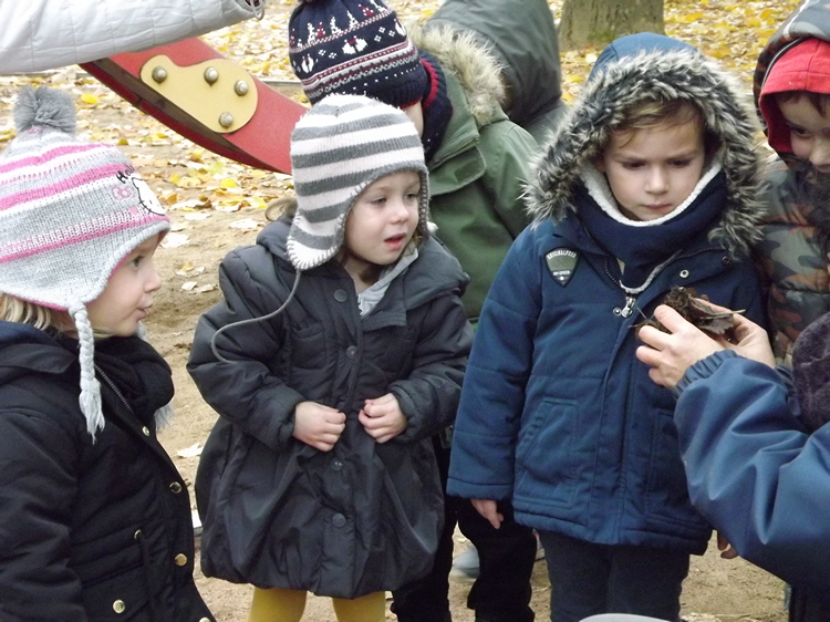 permaculture école Prissé (10).JPG