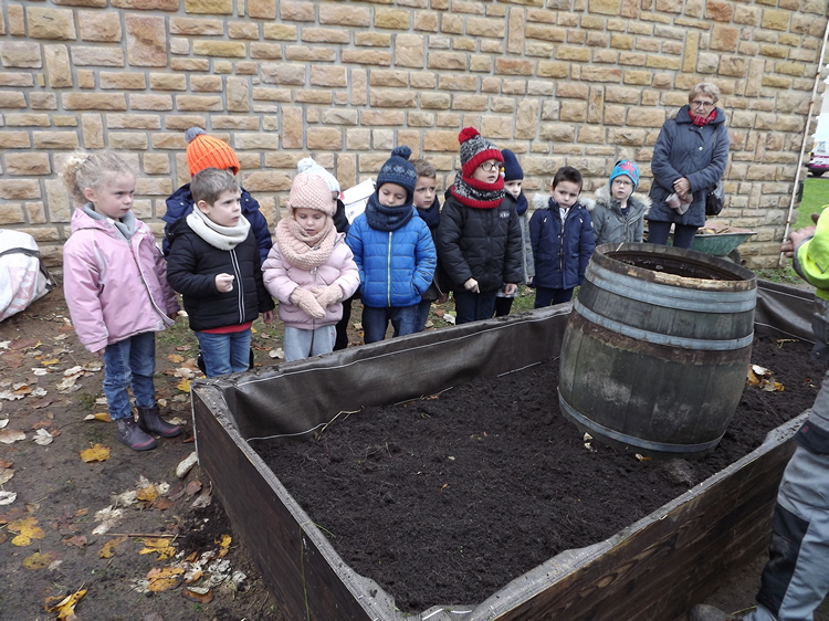 permaculture école Prissé (20).JPG