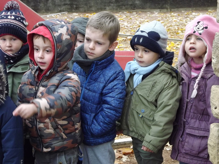 permaculture école Prissé (8).JPG