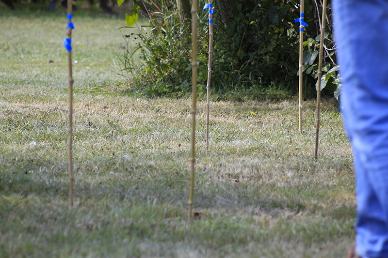 stage-sourcier-prissé7.jpg