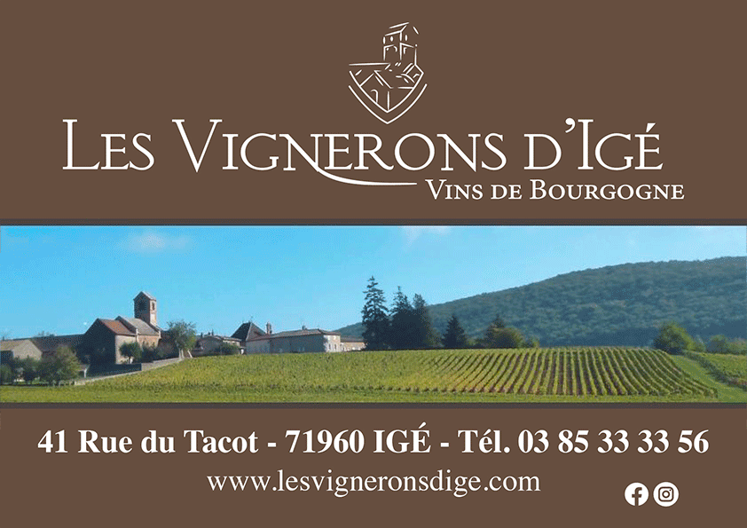 Mâcon Infos Le Journal du Mâconnais MÂCON Expo Alessandro